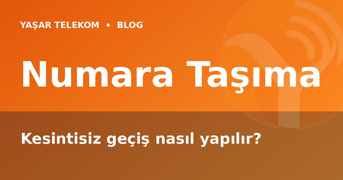 Numara Taşıma Nasıl Yapılır? Kesintisiz Geçiş Rehberi